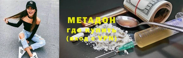 прущие грибы Абинск