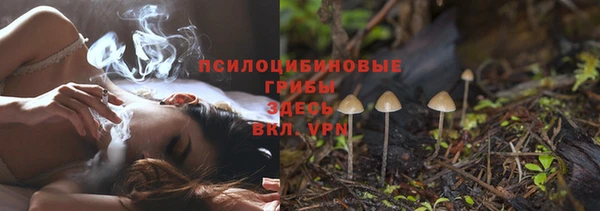 дурь Абаза