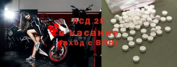 прущие грибы Абинск