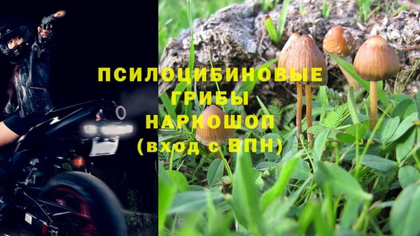 дурь Абаза