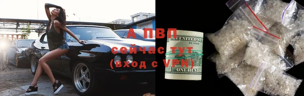 прущие грибы Абинск