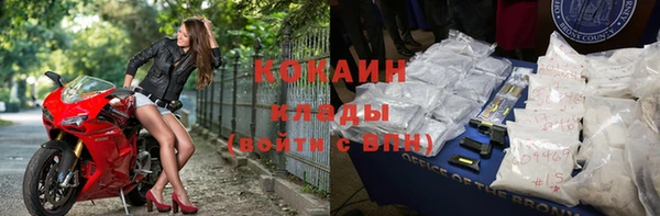 прущие грибы Абинск