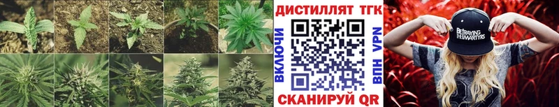 Дистиллят ТГК концентрат  Спас-Клепики 