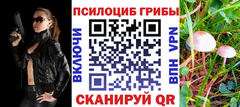 Галлюциногенные грибы прущие грибы  купить   Спас-Клепики 